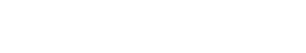 BVB_Netzwerk